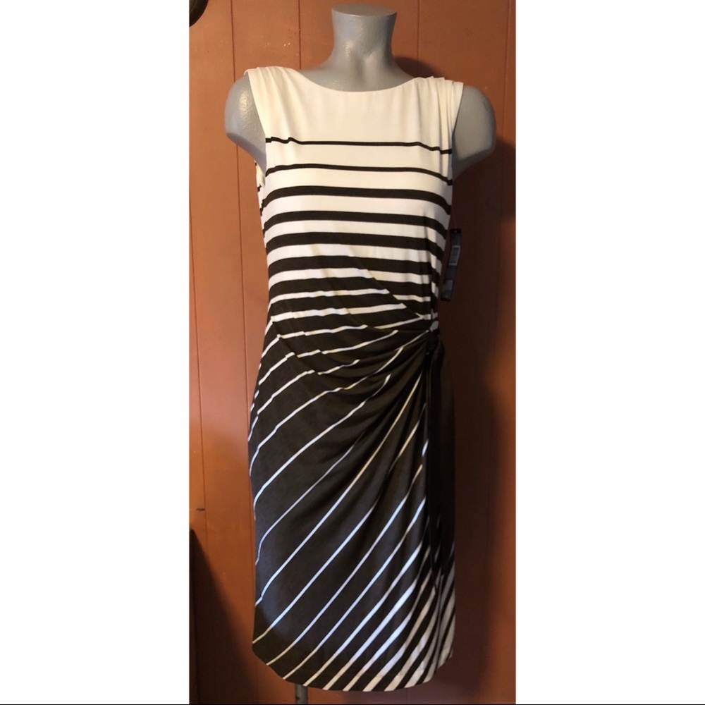 NWT Tahari Albert Striped Dress, 4, brown & ivory